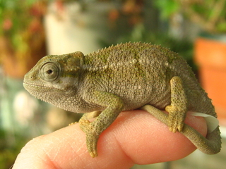 img246711ji8.jpg