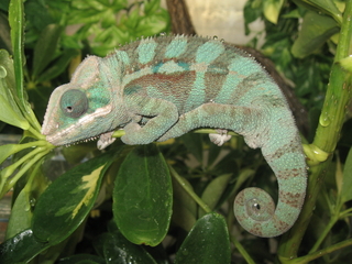 img248211bg8.jpg