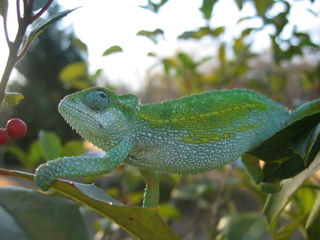 img242111sp4.jpg