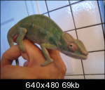 img0481dh3.th.jpg