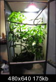 img0465vq2.th.jpg