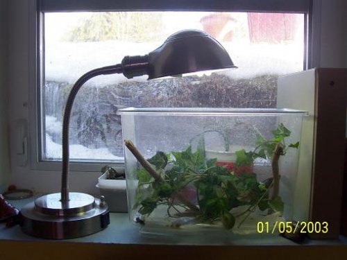 baby cage 2.jpg