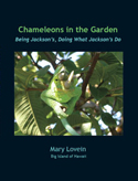 jacksons_garden.jpg