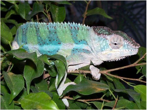 WC Ambanja at rest.JPG