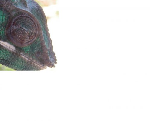 eye closed.JPG
