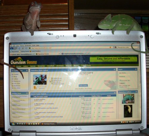DSCI0153.jpg