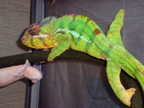 mitsios 9-25-10 023.jpg