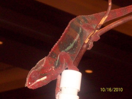 101_0740.jpg