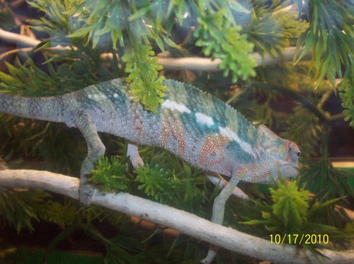 101_0804.jpg