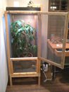 CHAMELEON SETUP.jpg CHAMELEON SETUP.jpg