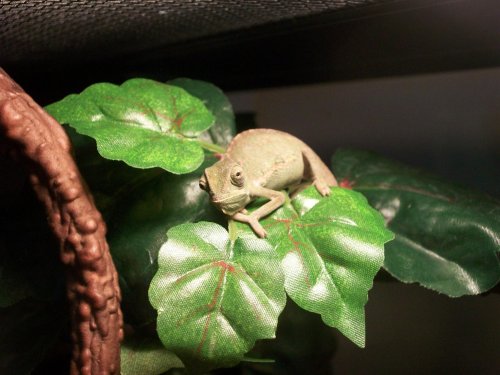 100_0382.jpg