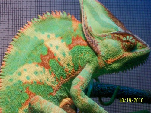 100_0888.jpg