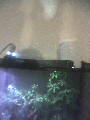 Image0048.jpg