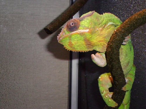 mitsios 9-25-10 016.jpg