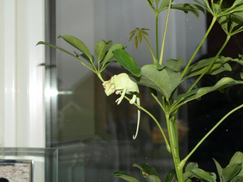 PA260654.jpg