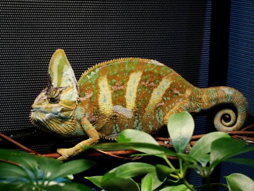 154.jpg