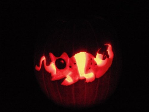 Cham Pumpkin.jpg