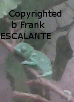 edited Image0050.jpg