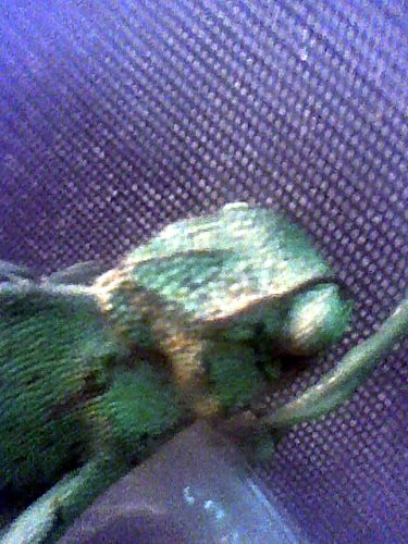 Image0064_edited.jpg