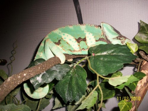 100_0898.jpg
