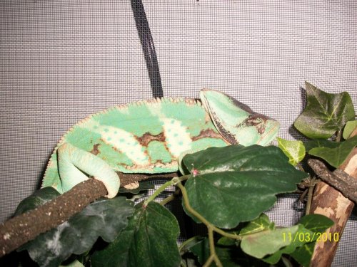 100_0894.jpg