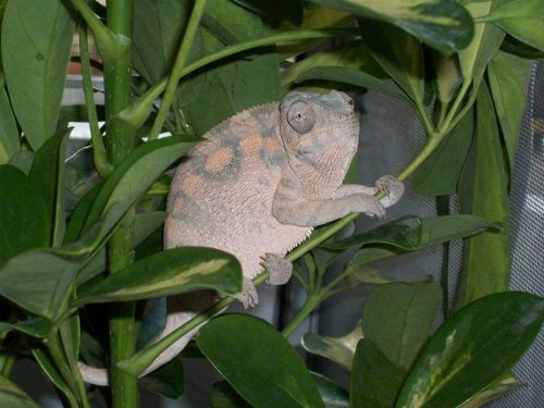 100_0641.jpg