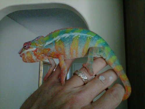 IMG00230-20101106-1242.jpg