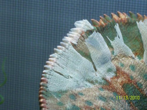 100_0906.jpg