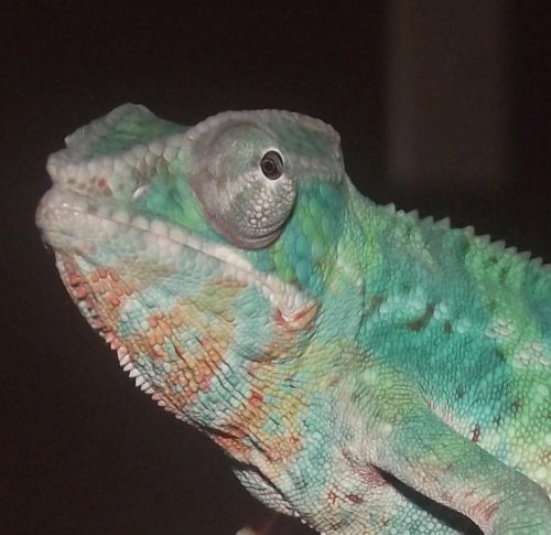 DSCF6402.jpg