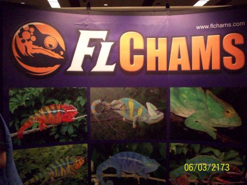 FL.Chams.jpg