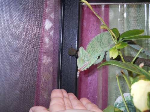 Laverneoutside (1).jpg