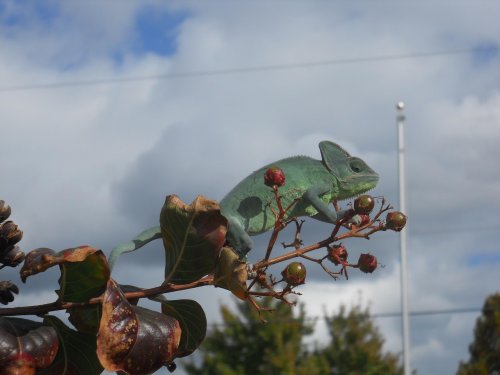 Laverneoutside (2).jpg