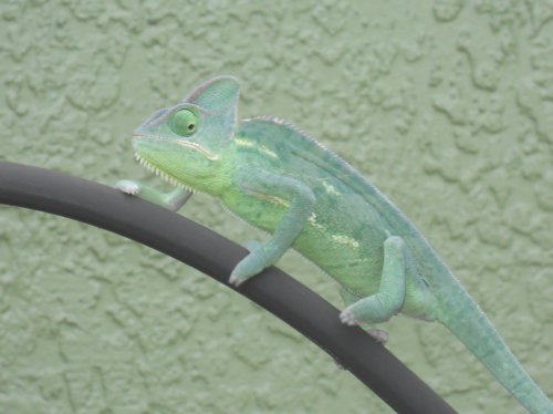 Laverneoutside (19).jpg