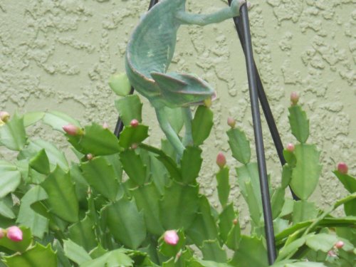 Laverneoutside (29).jpg