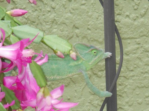 Laverneoutside (30).jpg