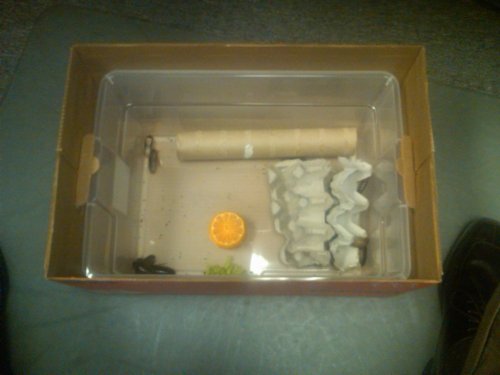 box 2.jpg