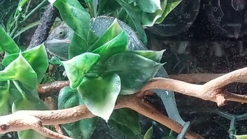 20190228_155119.jpg
