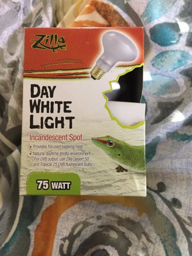 daylight bulb.jpg