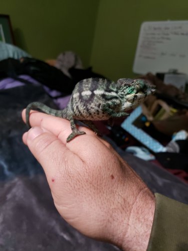 20190325_090451.jpg 20190325_090451.jpg