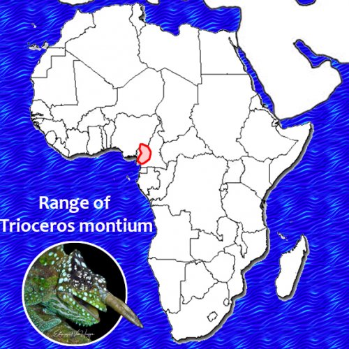 Africa mid Range Map.jpg