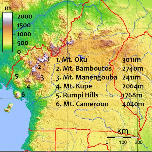 Cameroon mountains 740x740.jpg