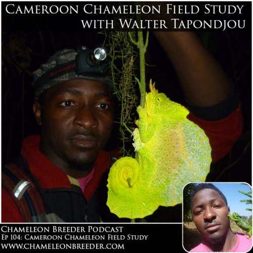 Ep 104 Chameleon Forums Post.jpg Ep 104 Chameleon Forums Post.jpg