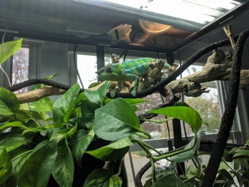 IMG_20190519_132847 (1).jpg