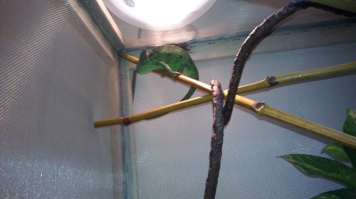 IMAG0011.jpg
