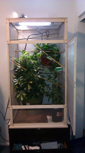IMAG0015.jpg