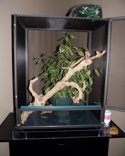 DSCF6493.jpg