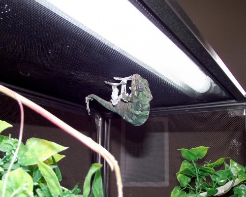 DSCF6473.jpg