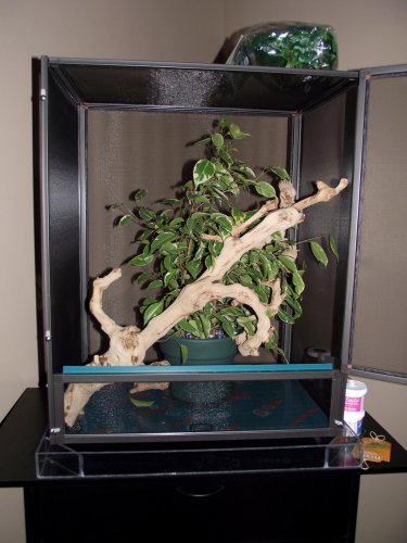 DSCF6493.jpg
