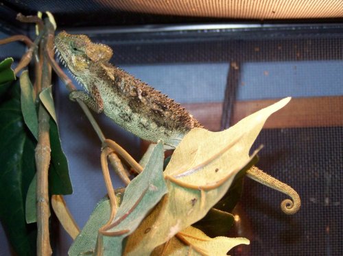 100_0844.jpg