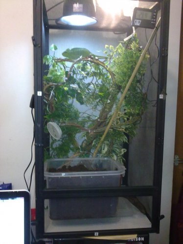 20101205648.jpg